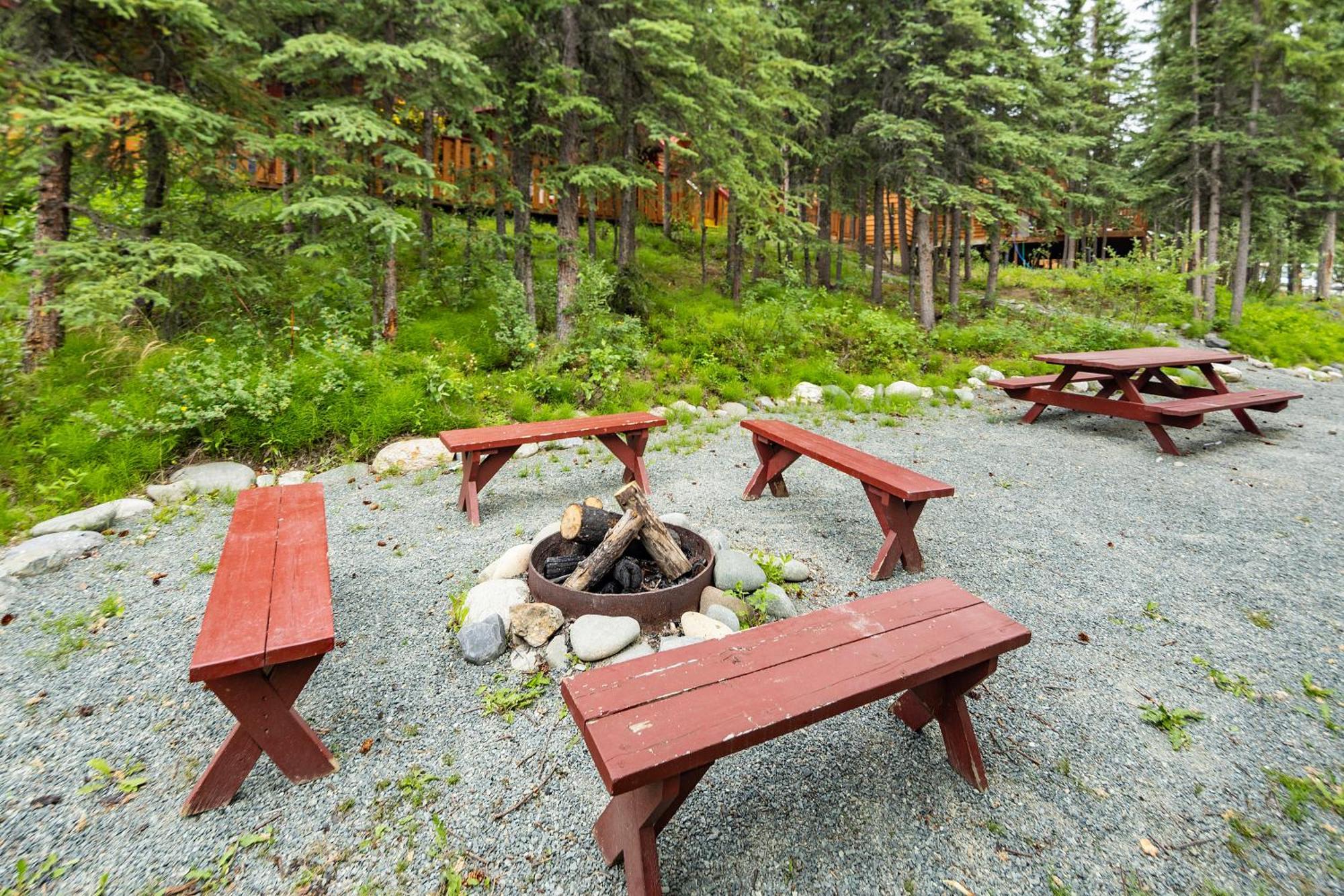 Denali Park Denali Crow'S Nest Cabins מראה חיצוני תמונה