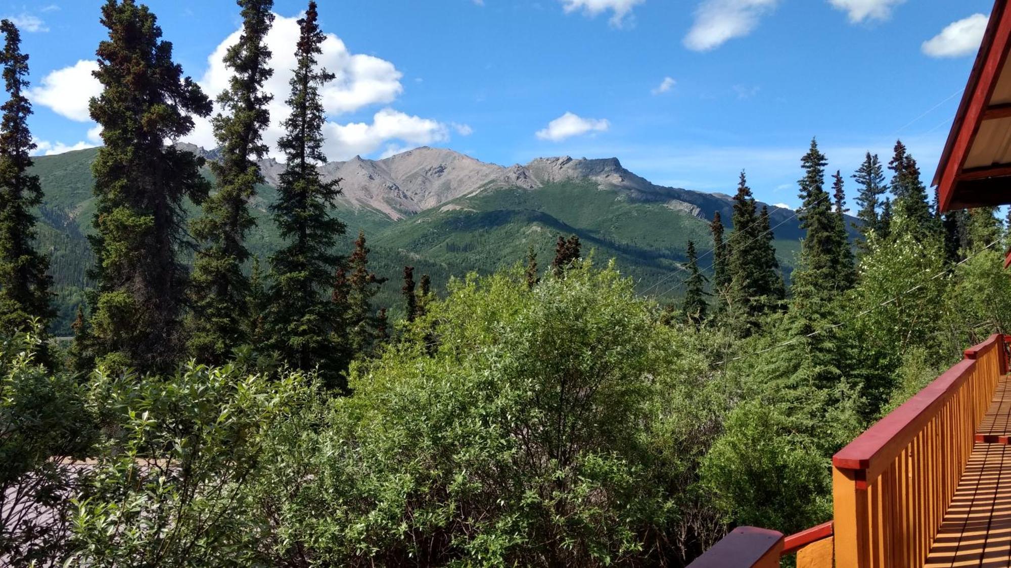 Denali Park Denali Crow'S Nest Cabins מראה חיצוני תמונה