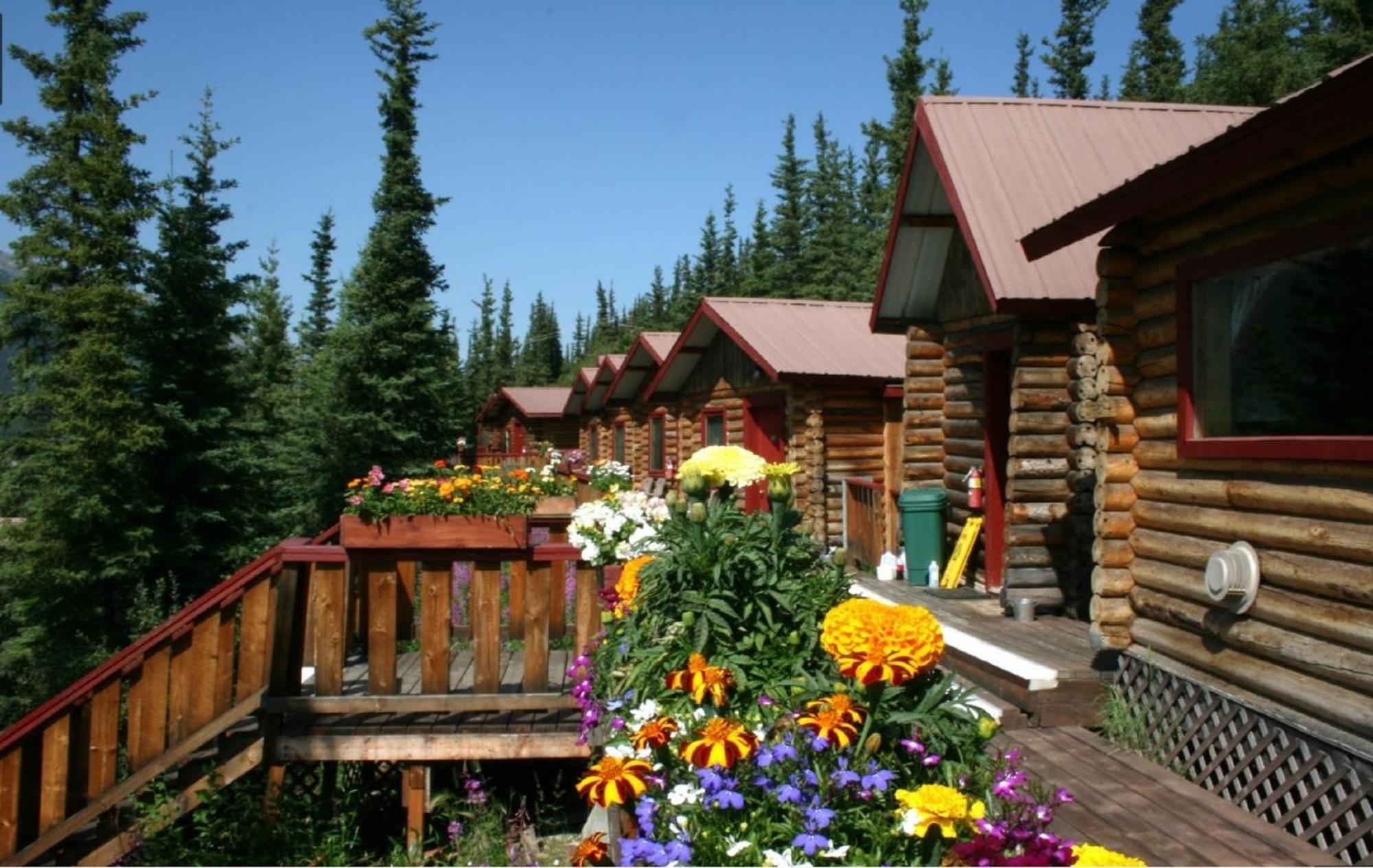 Denali Park Denali Crow'S Nest Cabins מראה חיצוני תמונה